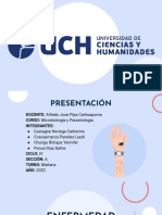 Enfermedades Transmitidas Por Vectores - Trabajo Grupal