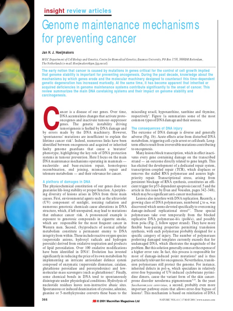 Genome Maintenance Mechanisms For Preventing Cancer: Insight | PDF