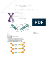 Lembar Kerja Peserta Didik Materi Genetika Klp-1