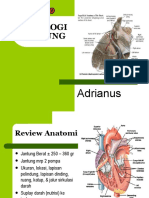 Fisiologi Kardiovaskular