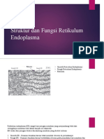 Struktur Dan Fungsi Retikulum Endoplasma