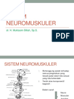 Sistem Neuromuskuler