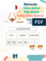 Obstrucción y Síndrome Uretral