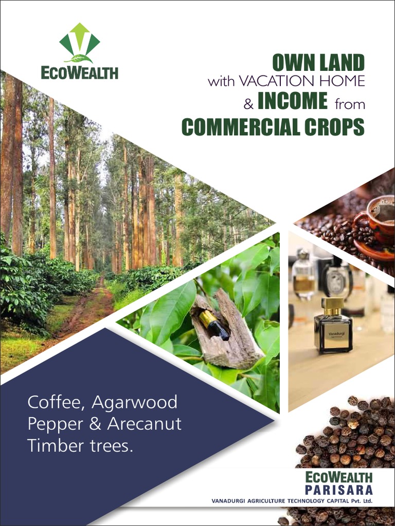 Brochure PDF Black Pepper Coffee