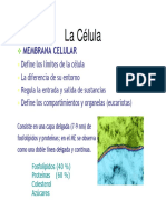 TEMA 3 - Organizacion Celular II