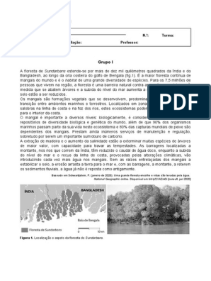 Placas PDF, PDF, Produtos florestais