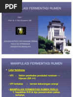 Download MANIPULASI FERMENTASI RUMEN by Erwin Zakariya SN61411053 doc pdf
