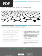 Environmental Impact Assessment