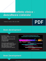 Curs neurostiinte clinice - dezvoltarea creierului sub 40 caractere