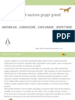 Power Point Serata Novembre Gruppo Grandi