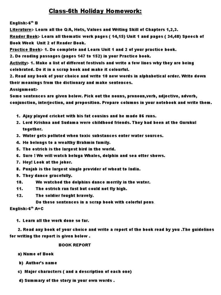 6th Class Holiday Homework Assignments Covering a Wide Range of