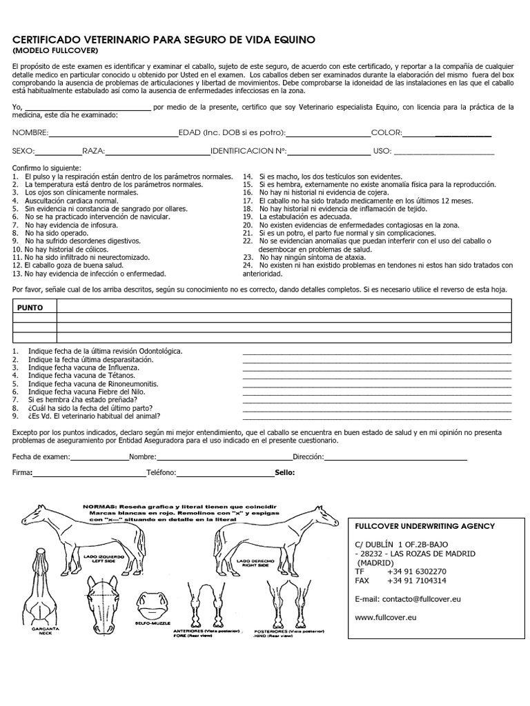 Comprehensive equine health examination and insurance certification