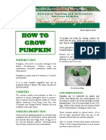 How To Grow Pumpkin Compressed
