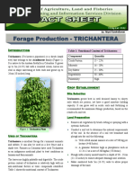 Forage Production Trichantera