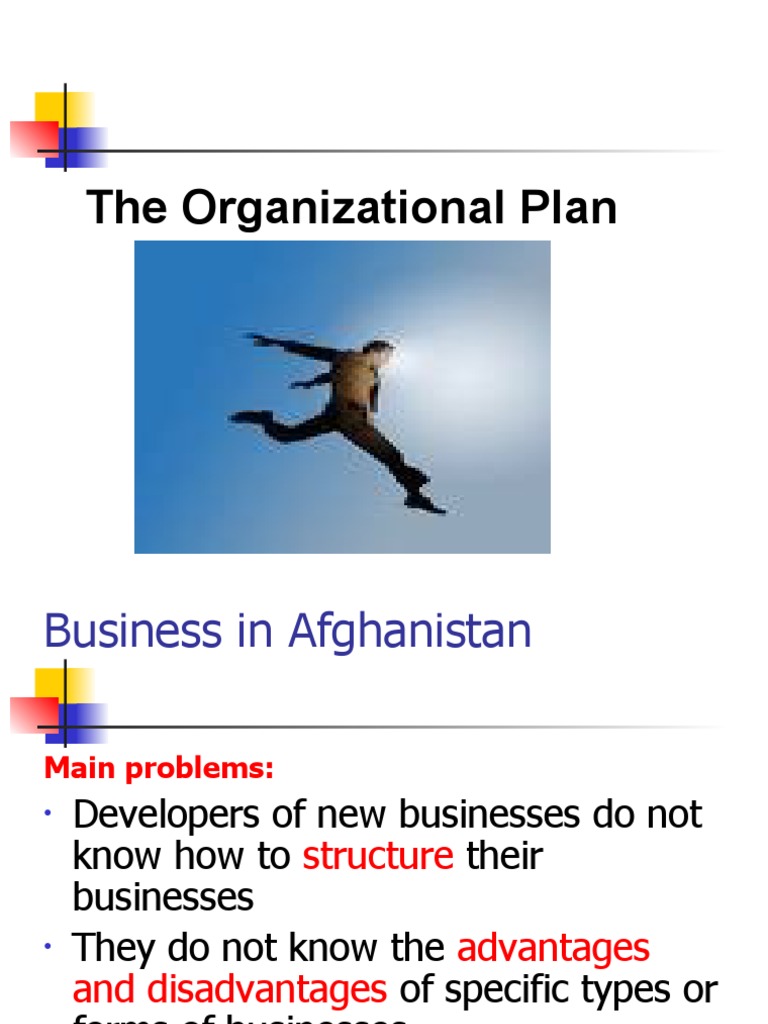 Business Structure Guide for Afghanistan | PDF | Partnership | Limited ...