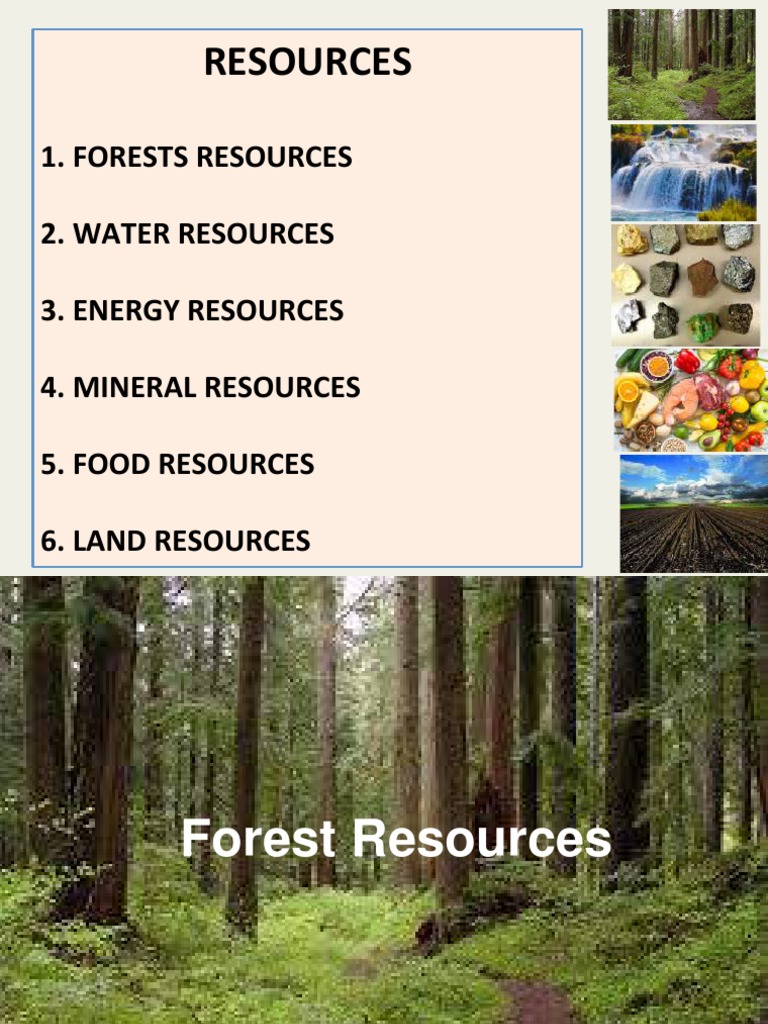 1 - Forest and Water Resources - Compressed | PDF | Water Scarcity | Water