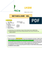 Ukbm 3.2.metabolisme Sel