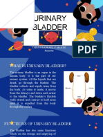Urinary Bladder Report Ni Doydoy