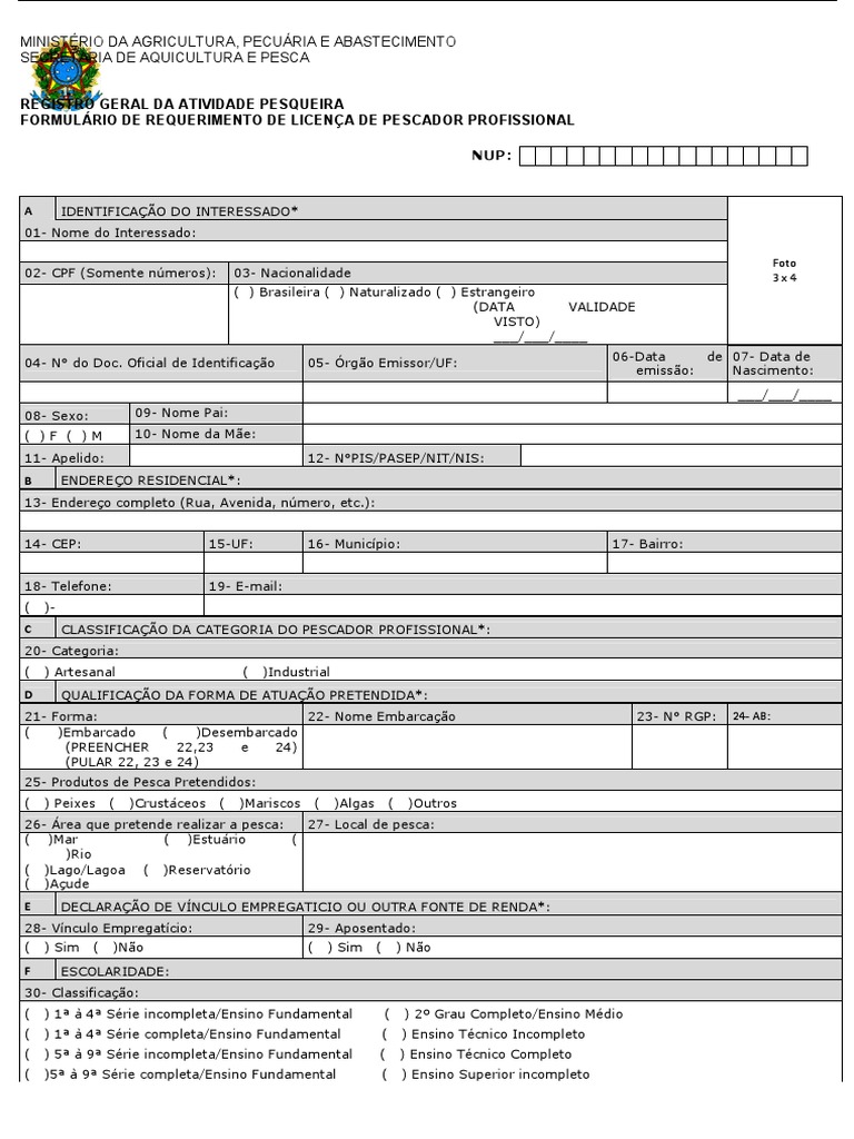 formul-rio-de-requerimento-de-licen-a-de-pescador-profissional-pdf