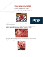 Informe de Laboratorio