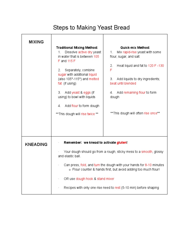 4.02 Steps To Making Yeast Bread Guided Notes PDF Dough Breads