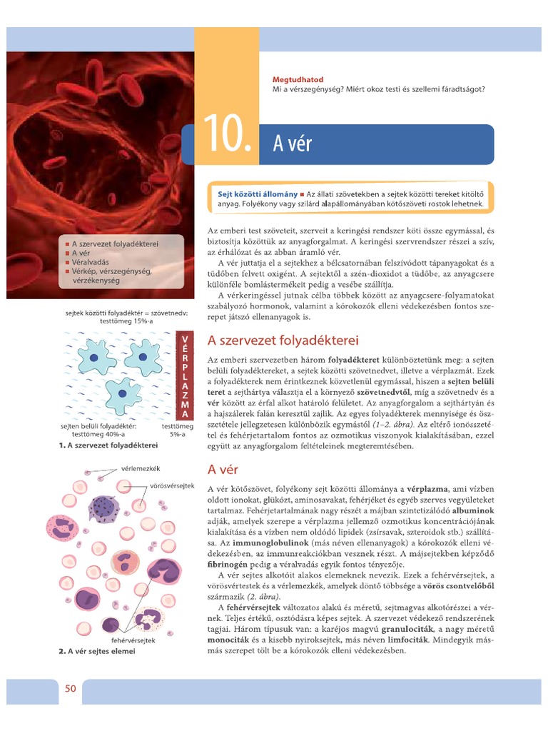 .ve intelligence overview