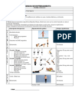Sesion de Entrenamiento
