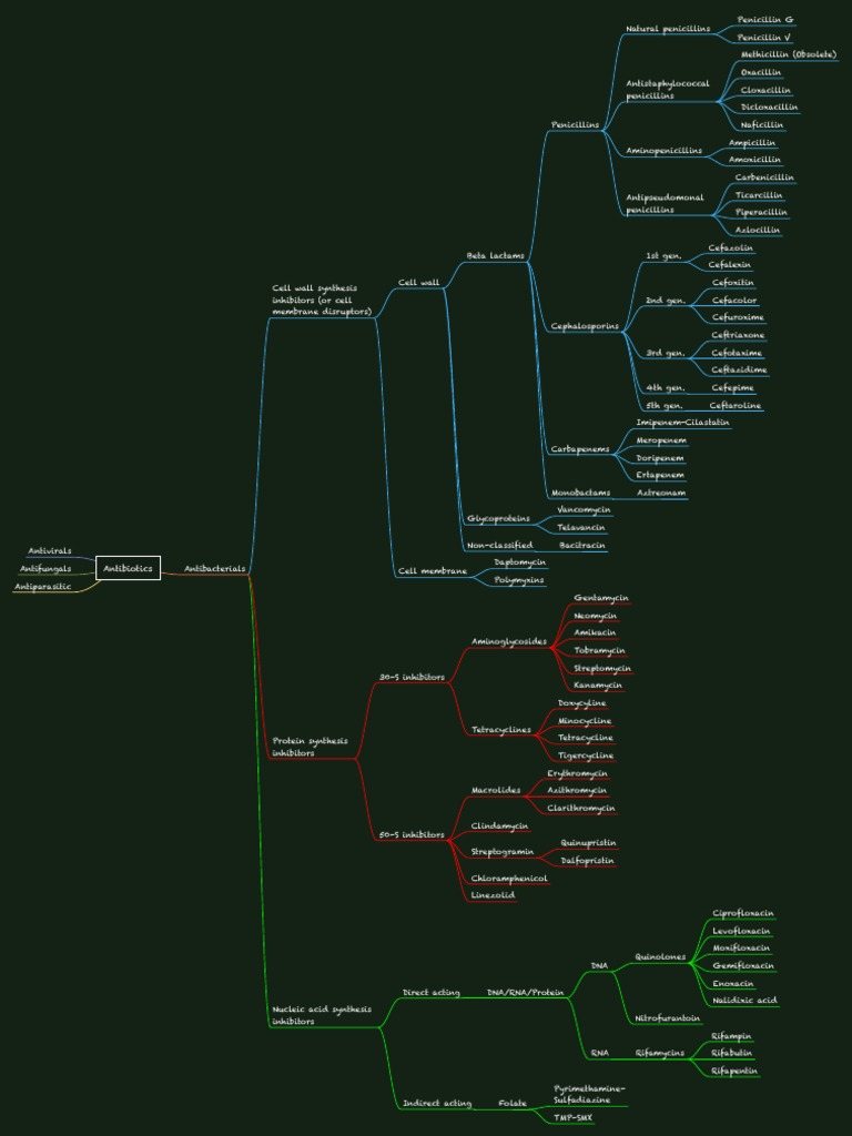 Antibiotics Mindmap | PDF | Penicillin | Antibiotics