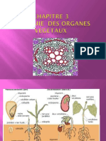 Livre Anatomie Des Organes Végétaux