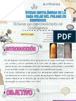 Artículo Histología-1