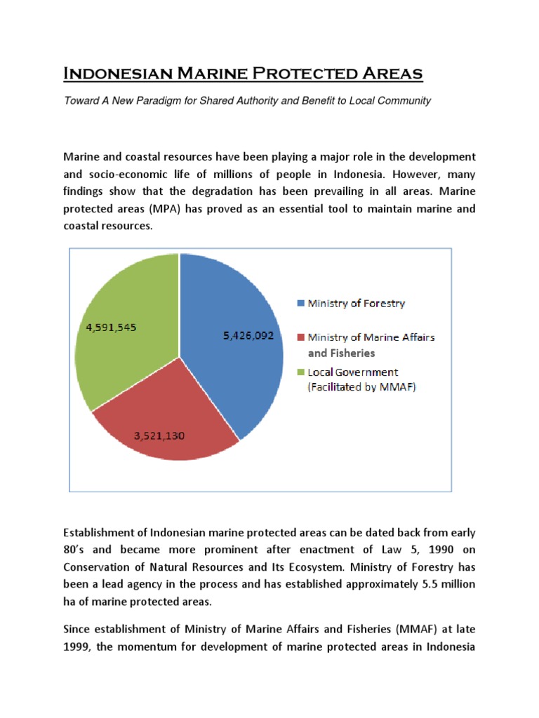 Indonesian Marine Protected Areas Pdf Protected Area Indonesia