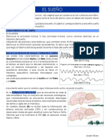 Neurofisiologia XIV - EL SUEÑO