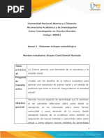 Anexo 5 - Resumen Enfoque Metodológico