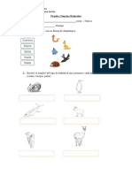 Prueba Ciencias Naturales 17 de Octubre