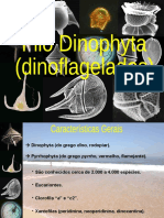 Dinophyta