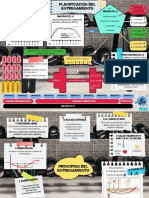 Planificaciocc81n Entrenamiento
