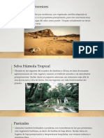 Ecosistemas terrestres y acuáticos: tipos y características