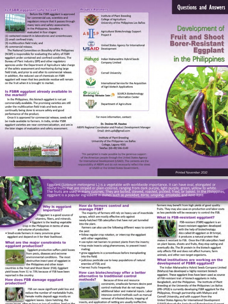 BT Eggplant FAQ (English Version) PDF