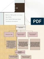 Mapa Conceptual