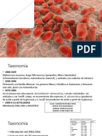 Acinetobacter spp. Taxonomía y Características