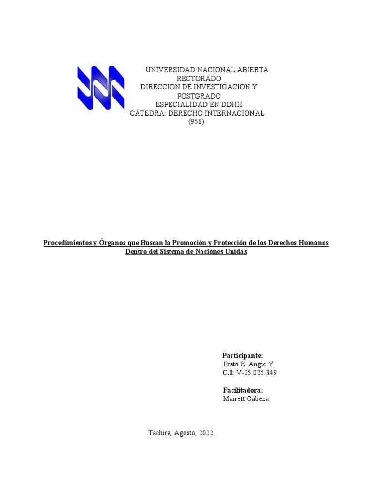 Órganos de Protección de DDHH en la ONU | PDF | Derechos humanos ...