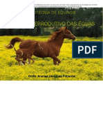 Manejo Reprodutivo Das Éguas - Zootecnia de Equinos. Veterinária. UFPEL. ATMV 2021. - Passei Direto