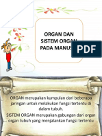 B. Sistem Organ Manusia