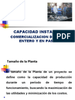 Tamano de Planta