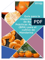 Guía BPA Mandarina PDF