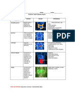 L.cotejo Tabla Aparato Digestivo