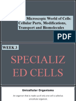 Biology q1 Week 3