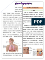 Sistema Respiratorio