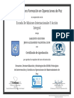 Desarme Desmovilizacion y Reintegracion DDR Certificate