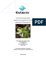 Monografia Maytenus ilicifolia: propriedades, indicações e testes